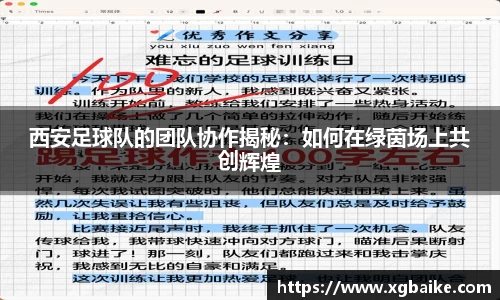 西安足球队的团队协作揭秘：如何在绿茵场上共创辉煌